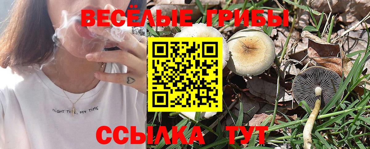 Саянск  Псилоцибиновые грибы GOLDEN TEACHER  Вход с VPN  Галлюциногенные грибы Psilocybine cubensis 