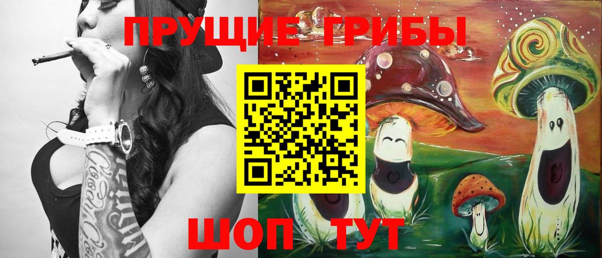 Галлюциногенные грибы Cubensis Саянск