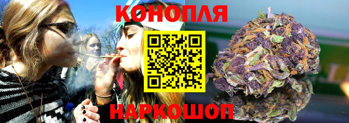 Конопля планчик Саянск